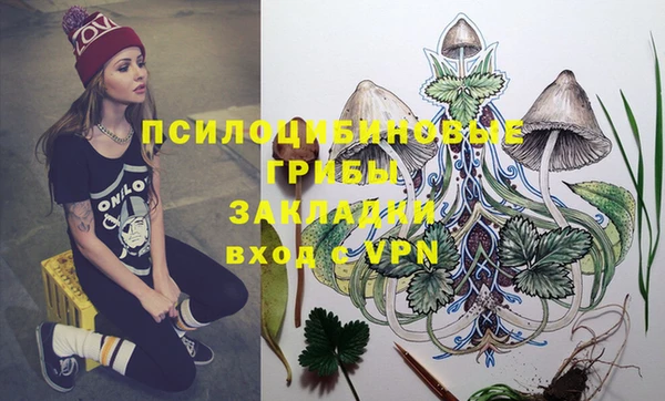прущие крисы Вязьма