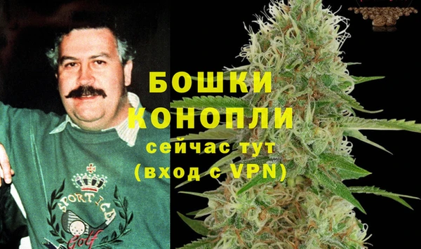 гидропоника Вяземский